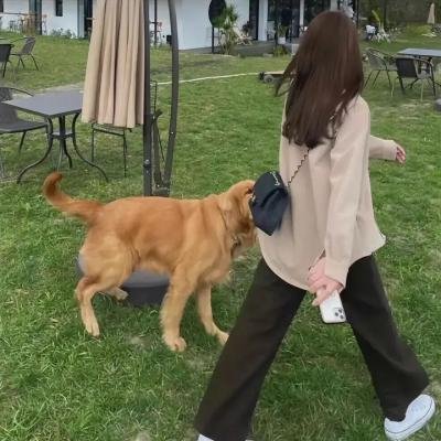 小熊星座的眼睛